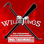 Wilde Jungs – Multikriminell