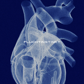 Fluchtinstinkt
