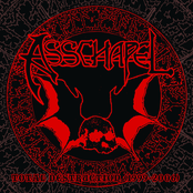 Total Destruction (1999-2006)