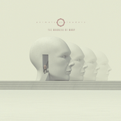 Animals As Leaders – The Madness of Many