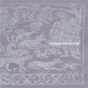 Eksperimentoj