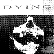 Demo 26
