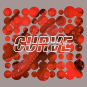 The Way of Curve cover