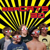 SEACATS 3D