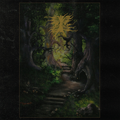 The Green Enchanted Forest of the Druid Wizard