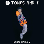 Dance Monkey cover