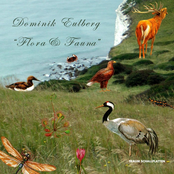 Dominik Eulberg – Flora & Fauna