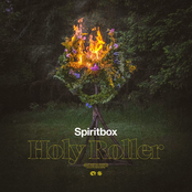 Holy Roller cover