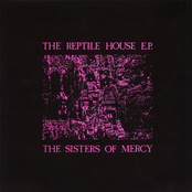 The Reptile House E.P.