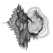 Mei Semones – Hfoas