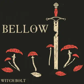 Bellow