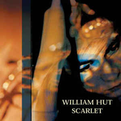 Scarlet