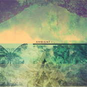 Enigma
