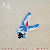Half Seen Figure