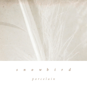 Porcelain