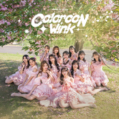 Colorcon Wink