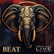 Neon Heat Disease: Live in Los Angeles