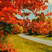 Fall/Asleep