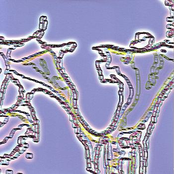 Transiency