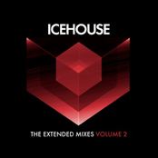 The Extended Mixes Vol. 2