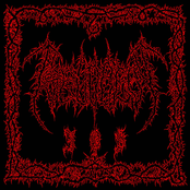 Illusion of Salvation