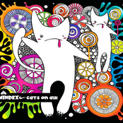 Cats On Air