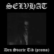 Den Svarte Tid