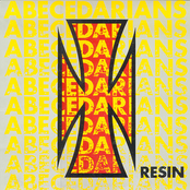 Resin