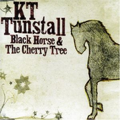 Black Horse & the Cherry Tree cover