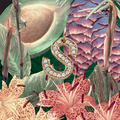 S cover
