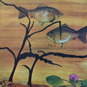 Pisces