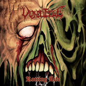 Rotting Life