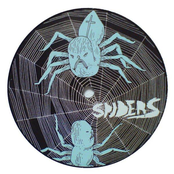 Spiders