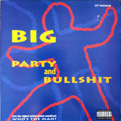 Party and Bullshit