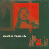 Mungo City