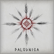 Paludnica