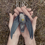 Hollow
