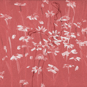 chapter 1 cover