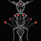Discombobulate