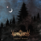 Coffin Birth