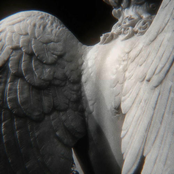 BONES