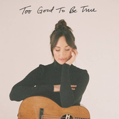Too Good to Be True cover
