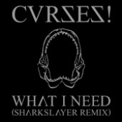 What I Need (Sharkslayer Remix)