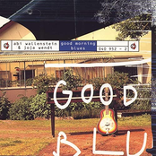 Abi Wallenstein – Good Morning Blues