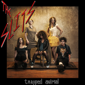 Trapped Animal cover