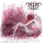 Nightmares in Damask