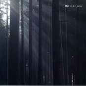 I.K.K. - Purpur