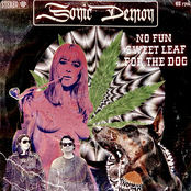 No Fun Sweet Leaf For The Dog