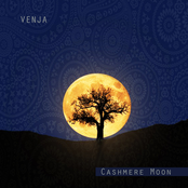 Cashmere Moon