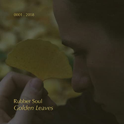 Rubber Soul – Golden Leaves